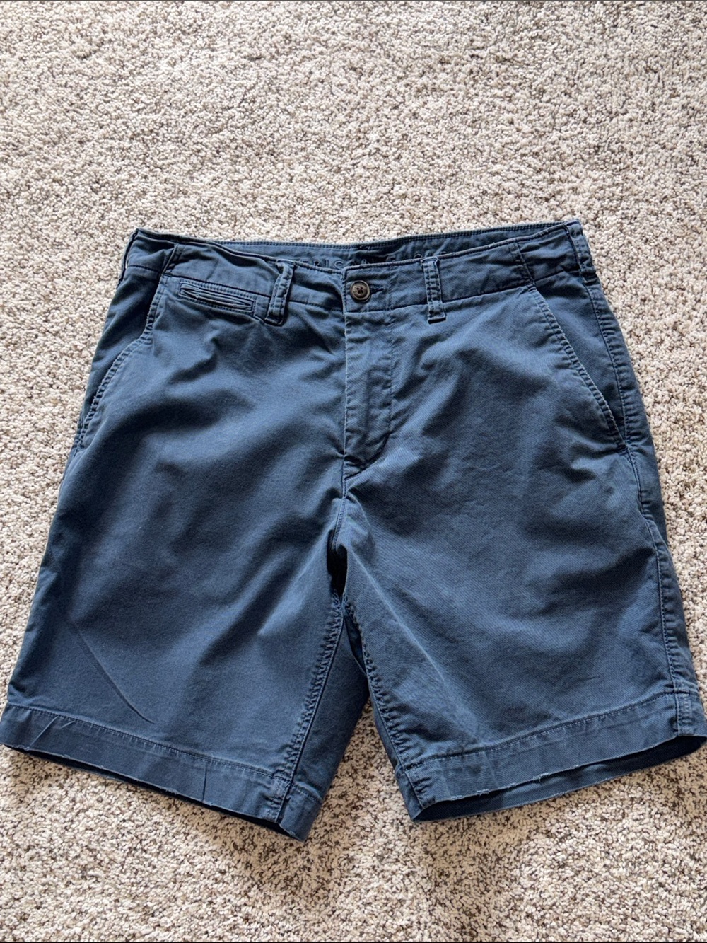 American Eagle Outfitters Navy Flat Front Chino Shorts